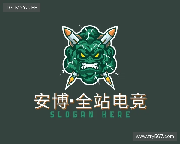 认识安博·全站电竞